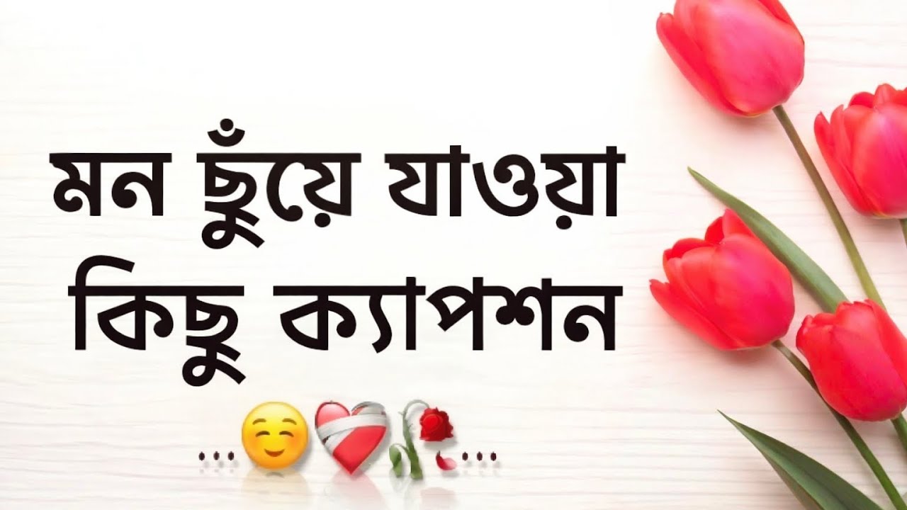 বাংলা সুন্দর কিছু শর্ট ক্যাপশন ☺️❤️‍🩹 সেরা কিছু ক্যাপশন