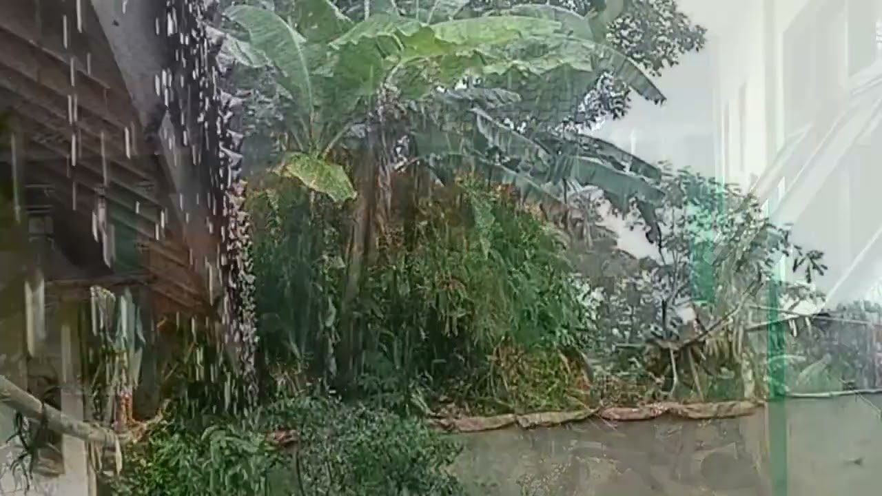 Ultimate Relaxing Rain Ambience 🌧️ Deep Sleep & Stress Relief (Global ASMR)