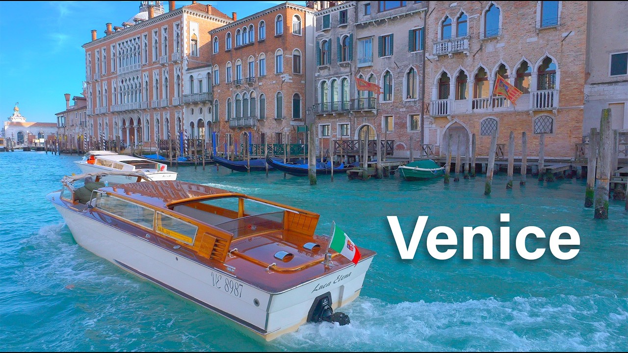 Venice Cruise on Grand Canal and Rialto bridge