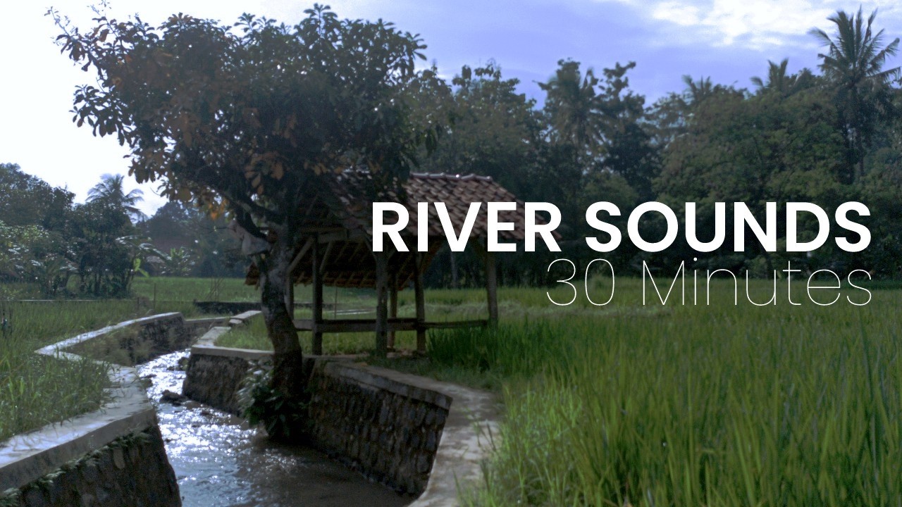 Relaxing River Sounds in Rural Indonesia 🌿 Natural Ambience for Sleep & Study (30 Minutes)