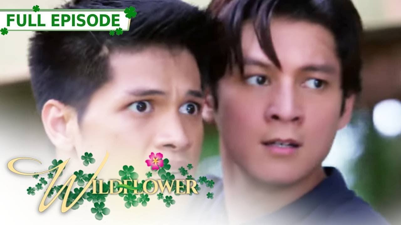Full Episode 175 | Wildflower with ENG SUB | Maja Salvador, Joseph Marco, RK Bagatsing