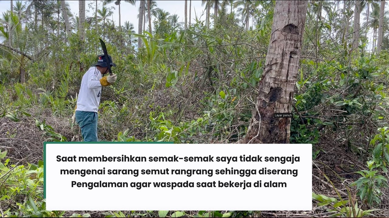 KENDALA PEMBERSIHAN LAHAN SEMAK-SEMAK