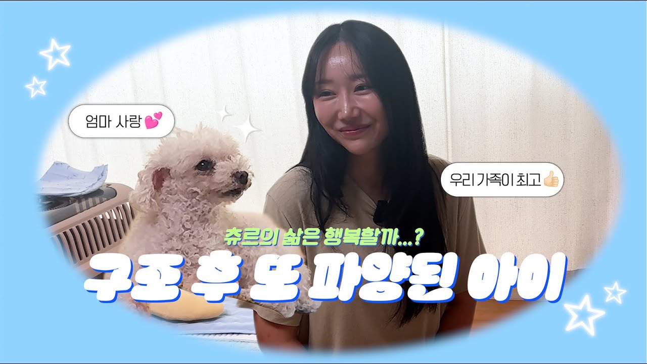 애니멀커뮤니케이션 상담: 구조 후 또 파양된 아이 츄르는 행복할까?
