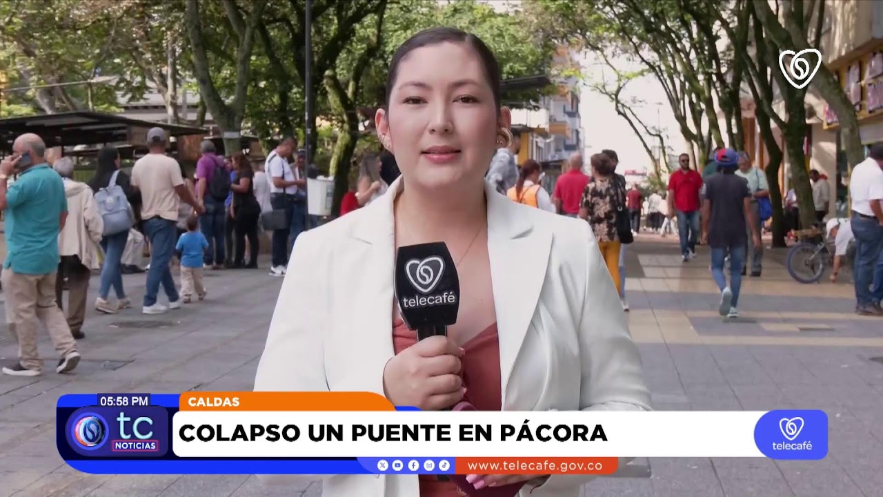 📺📍 Hechos clave del Triángulo del Café