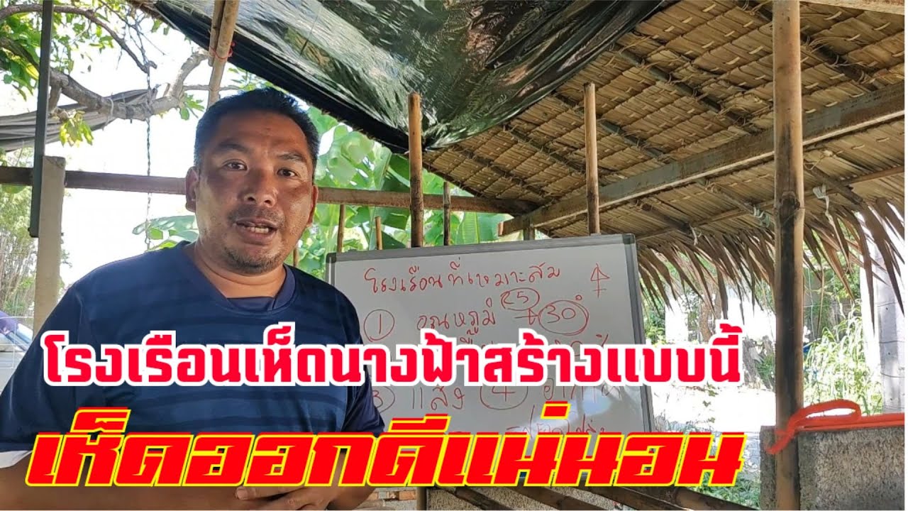 โรงเรือน #เห็ดนางฟ้า สร้างแบบไหนถึงจะช่วยทำให้เห็ดออกดีมาดูกัน
