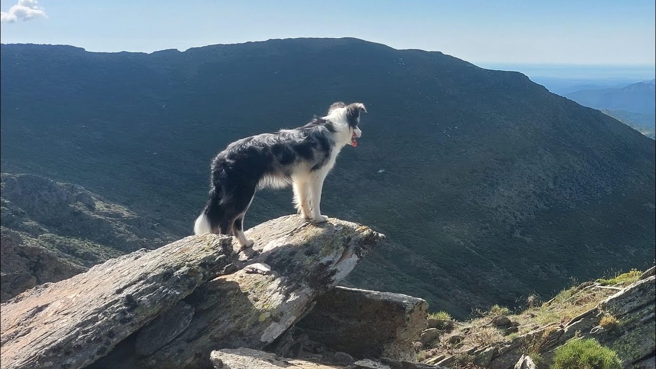 Pico del Lobo desde la Pinilla.      SG 2/7/23