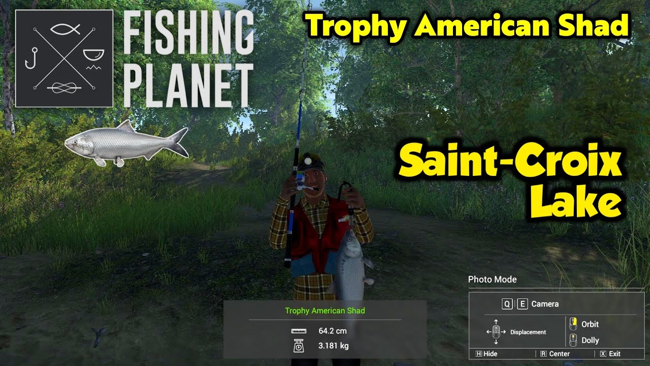 Trophy American Shad Saint-Croix Lake - Fishing Planet