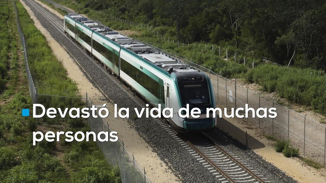 El TREN MAYA destruyó el sustento de muchas familias en QUINTANA ROO