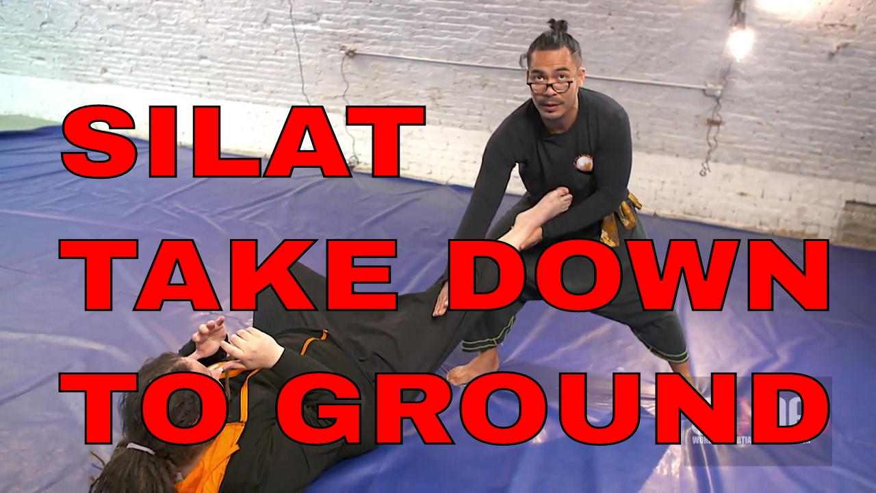 DEVASTATION DEFENCE TAKE DOWN TO GROUND SILAT