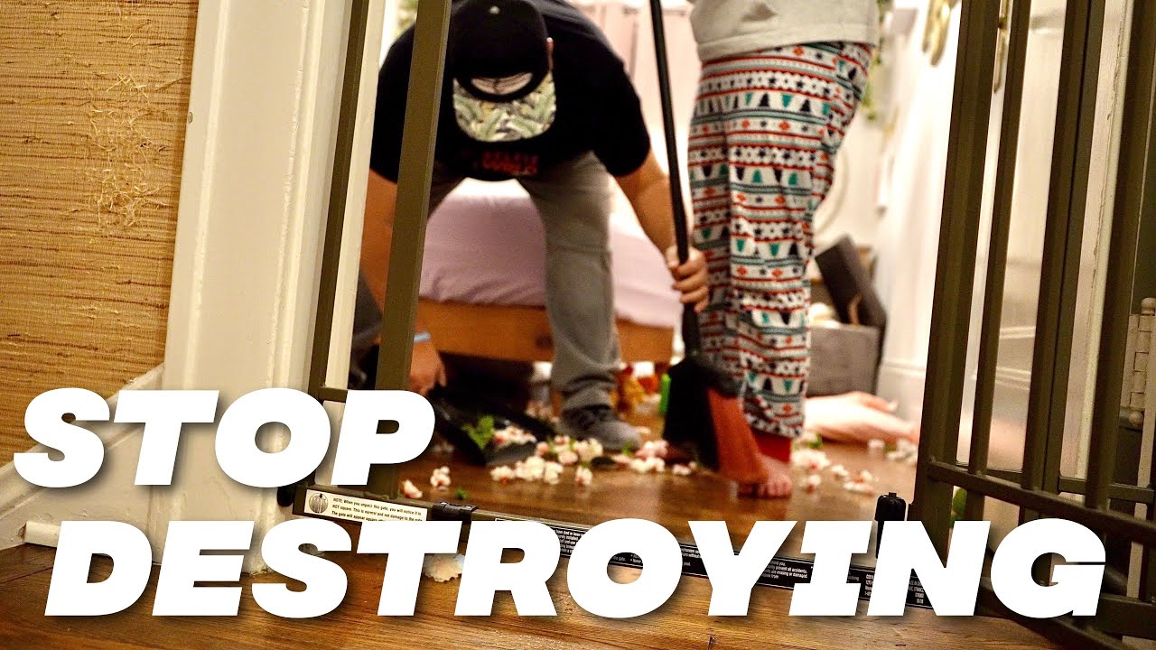 House Destruction