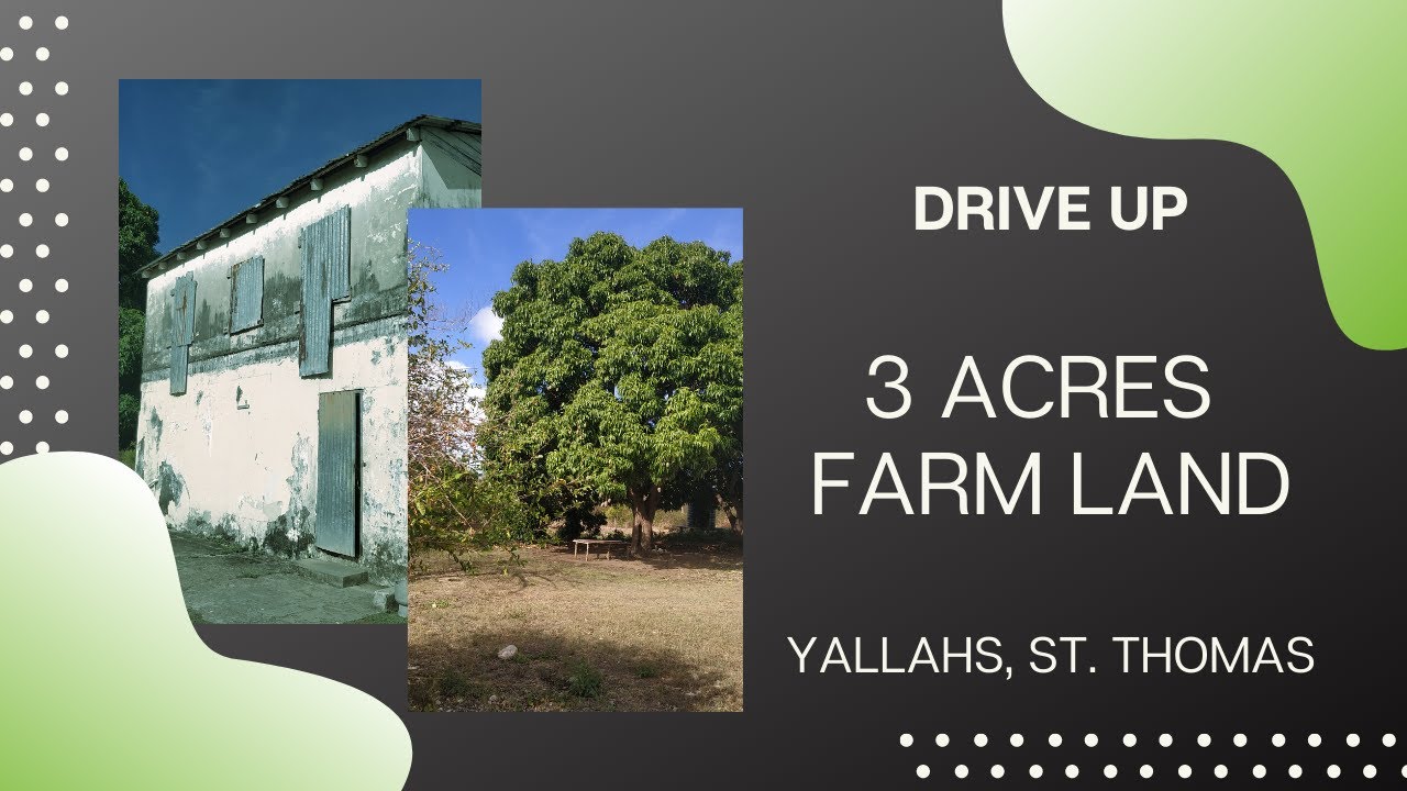 Drive Up : 3 Acres Farm Land For Sale  in Yallahs St Thomas Jamaica