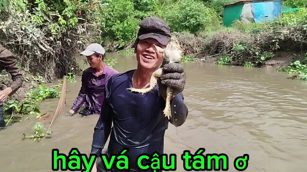 Đi săn ếch cùng cậu tám về xào lăn