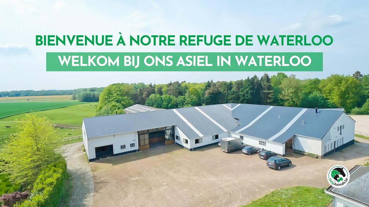 Help Animals : Refuge Waterloo