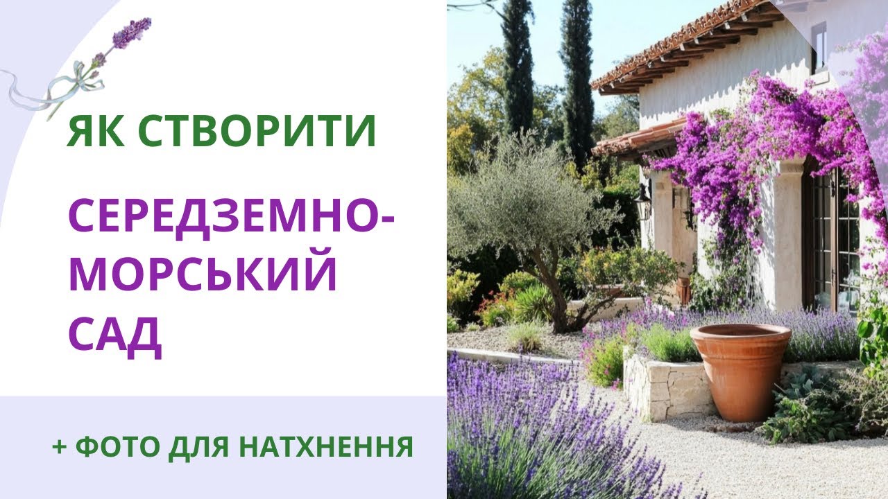 Как создать СРЕДИЗЕМНОМОРСКИЙ САД