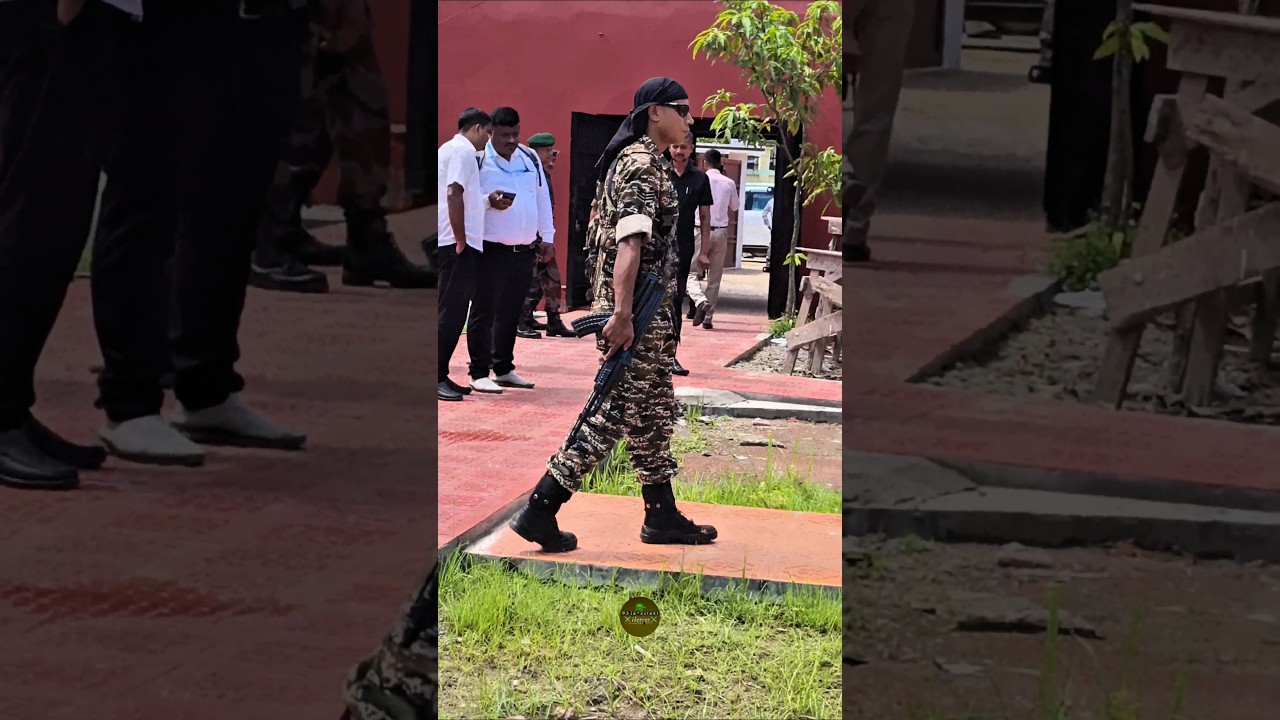 Central Force CRPF Commando On Duty#ssc#crpf#defence#motivation#status#tripura#soldier#military