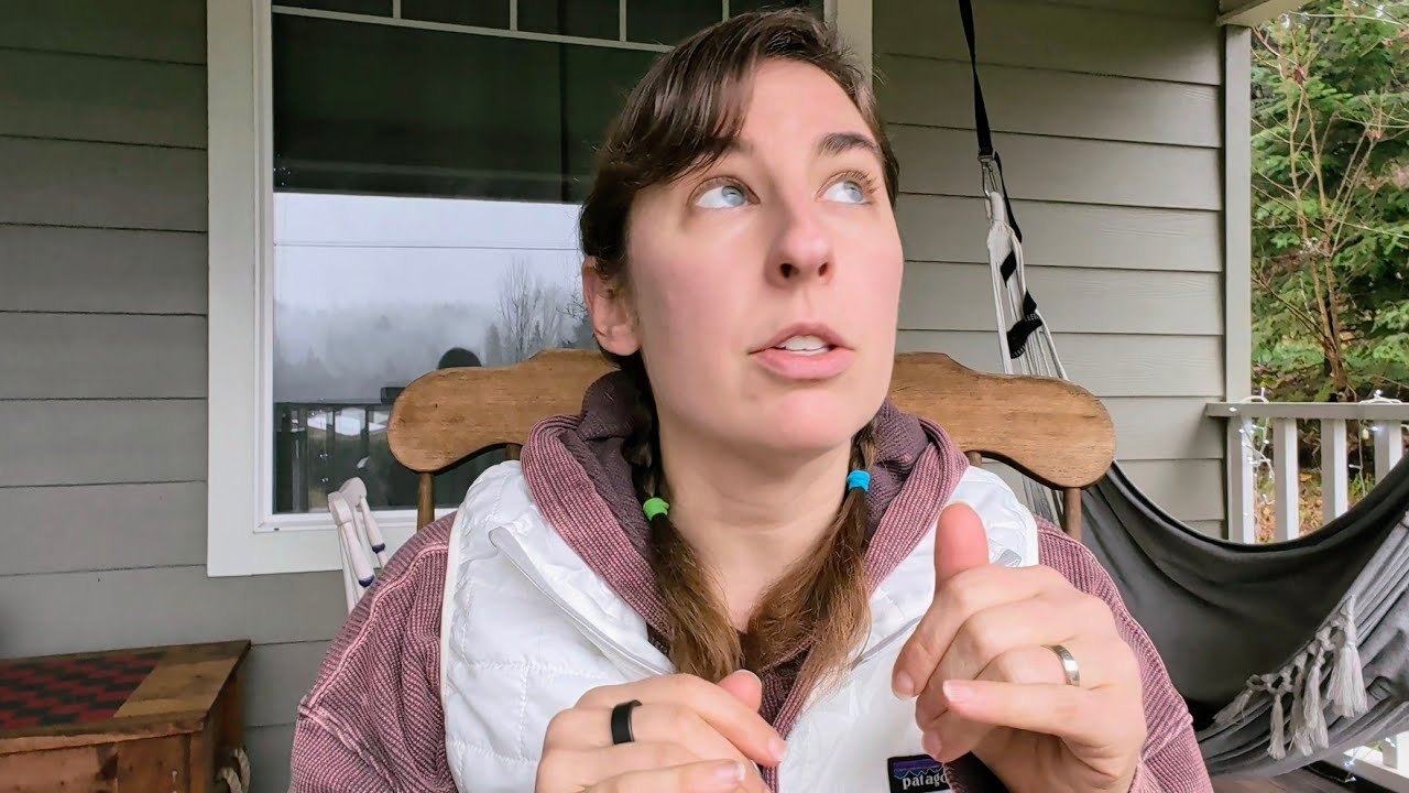 🛒Charcuterie Christmas is coming! Costco Stock-up Haul **$360**