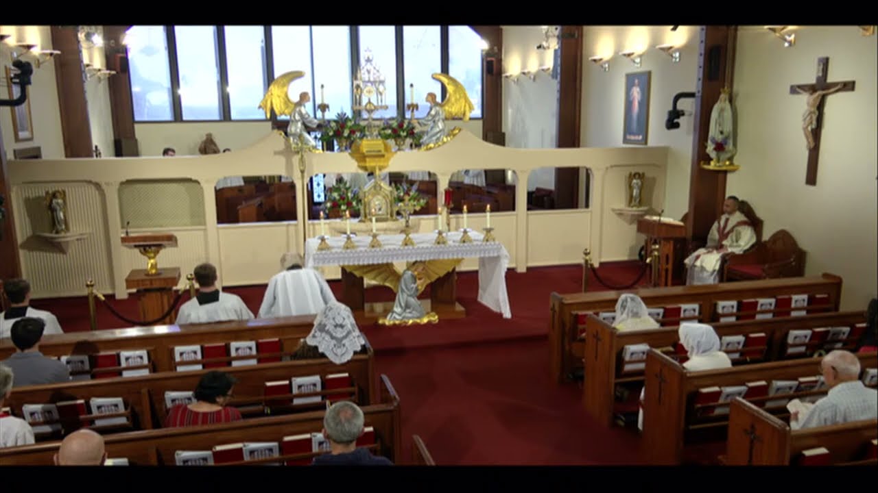 Catholic Daily Mass - Daily TV Mass - July 4, 2022