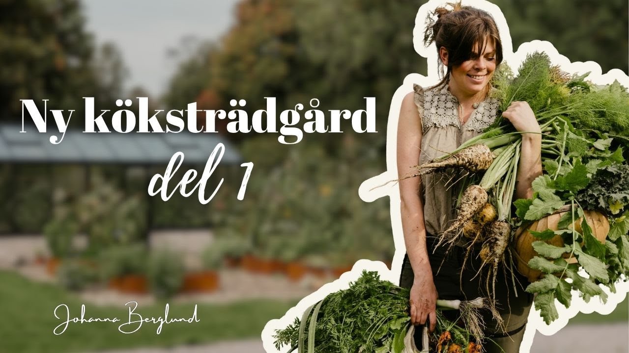 Ny köksträdgård - del 1