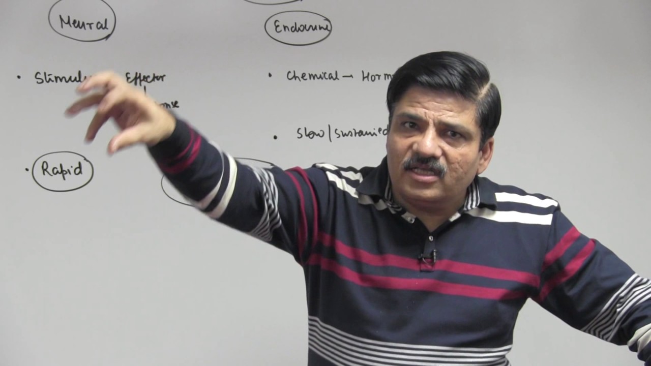 Hormones, Endocrine Glands - Chemical Coordination, Integration - NEET preparation videos