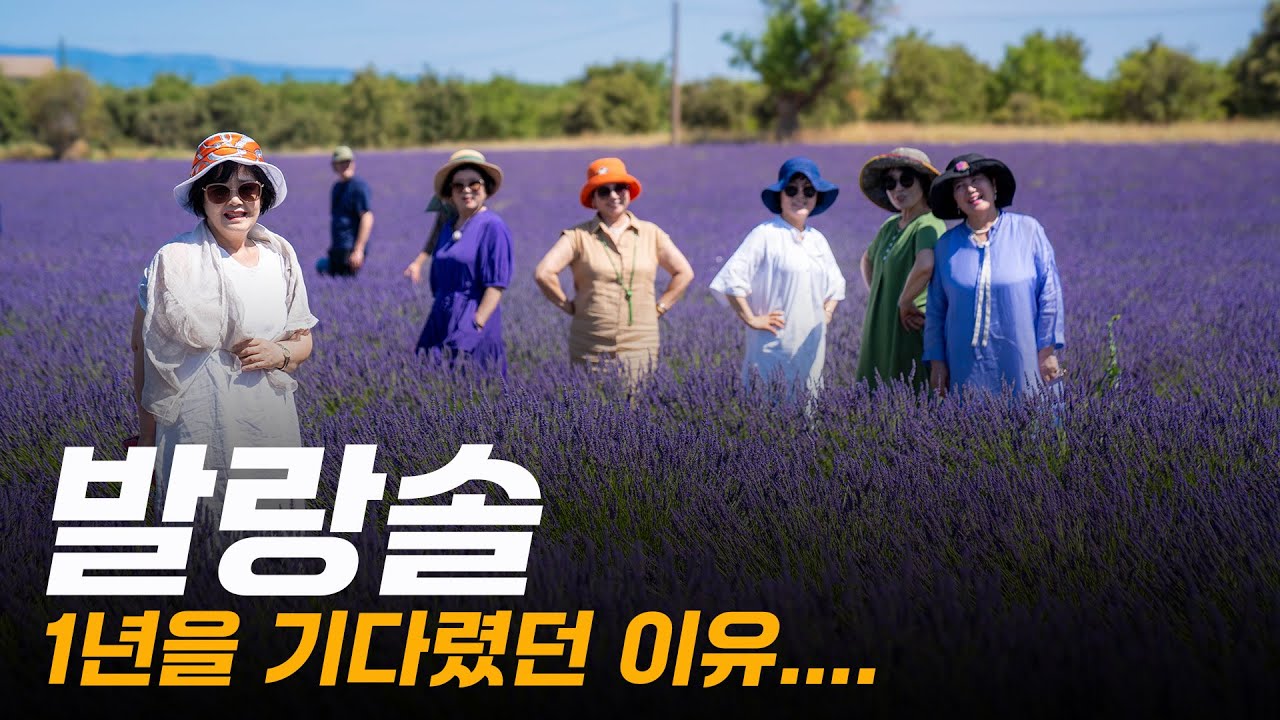 프랑스의 라벤더를 보고 싶다는 한 사람의 꿈을.......다섯 자매님이 이루어 주었던 남 프랑스 발랑솔 여행!!