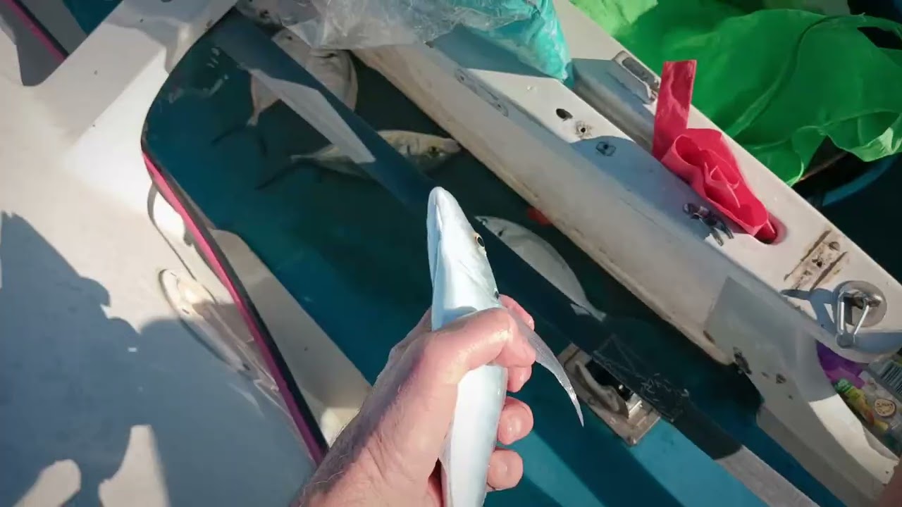 Electric Fishing Boat