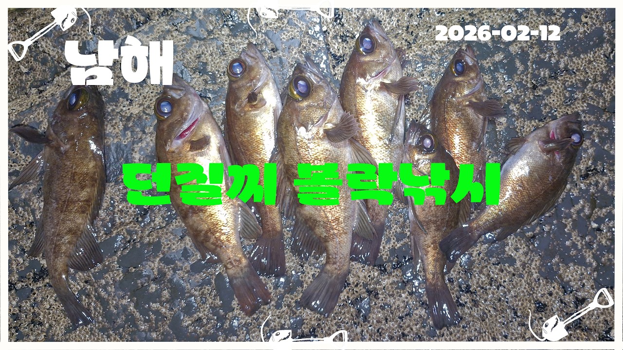 26-02-12 남해 볼락낚시 ( 씨알 보소ㅡㅡ ) #남해 #볼락 #던질찌