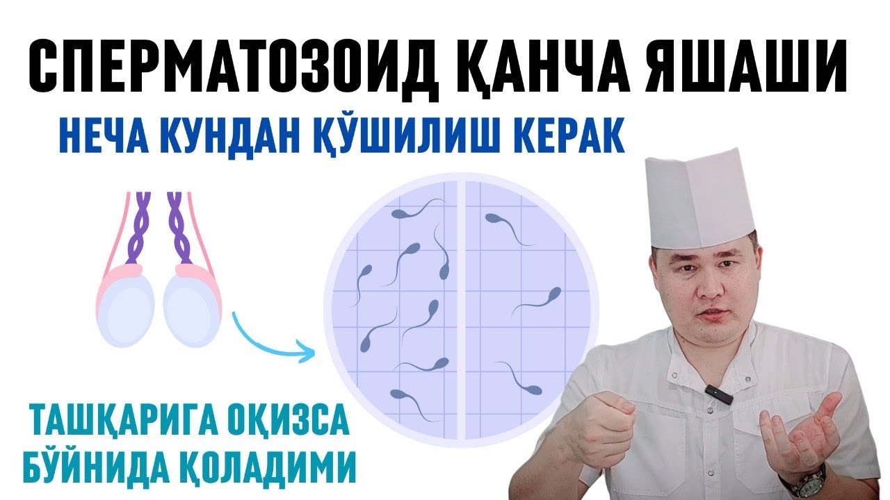 ЭРКАК УРУҒИ ЯШОВЧАНЛИГИ, БОЛА ҚИЛИШГА НЕЧА КУНДАН АЛОҚА ҚИЛИШИ КЕРАК, ТАШҚАРИГА ОҚИЗСА БОЛА БЎЛАЛИМИ