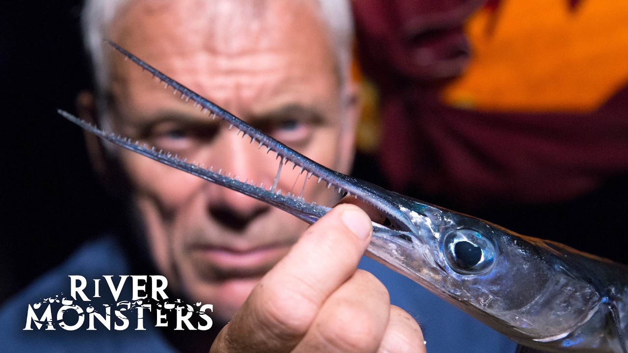 Tracking Down The Small But Deadly Needle Fish | River Monsters