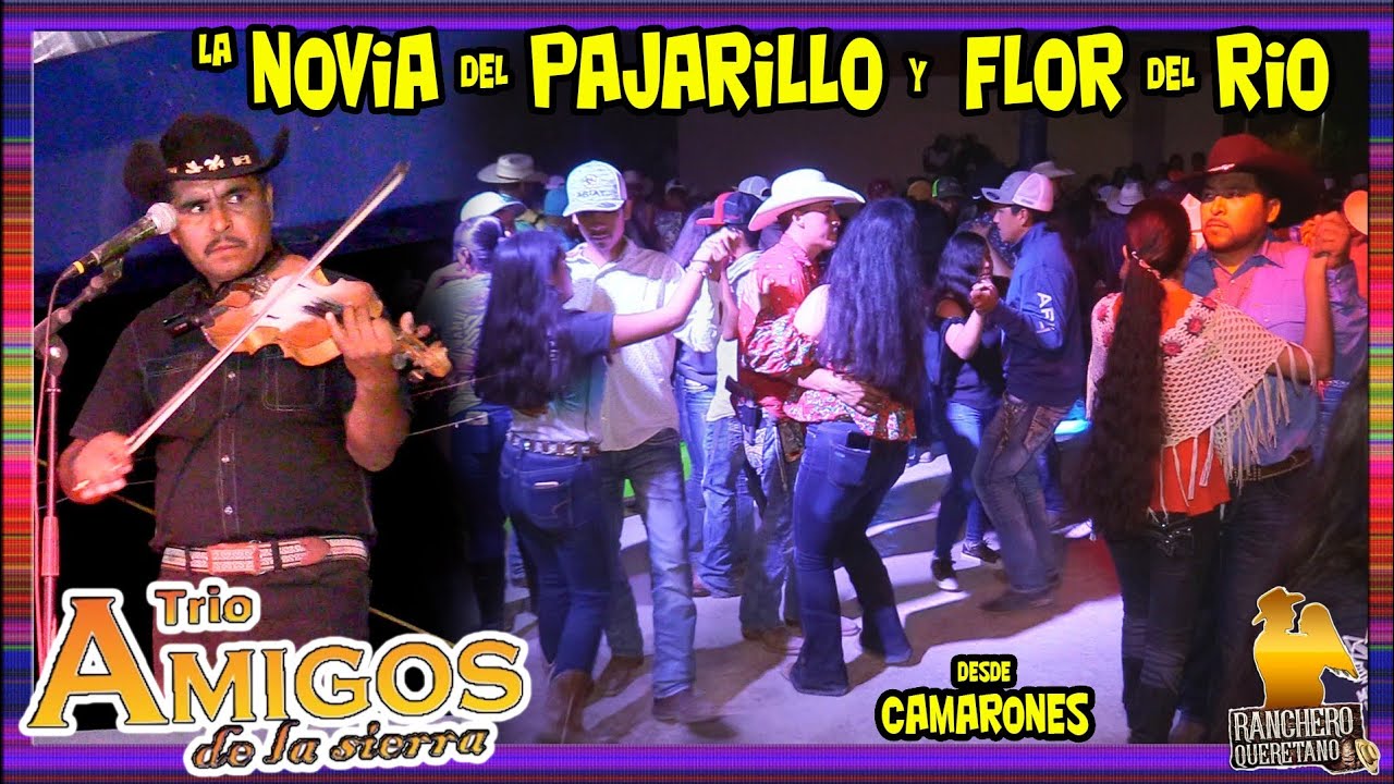 Los amigos de la sierra -  la novia del pajarillo y flor del rio