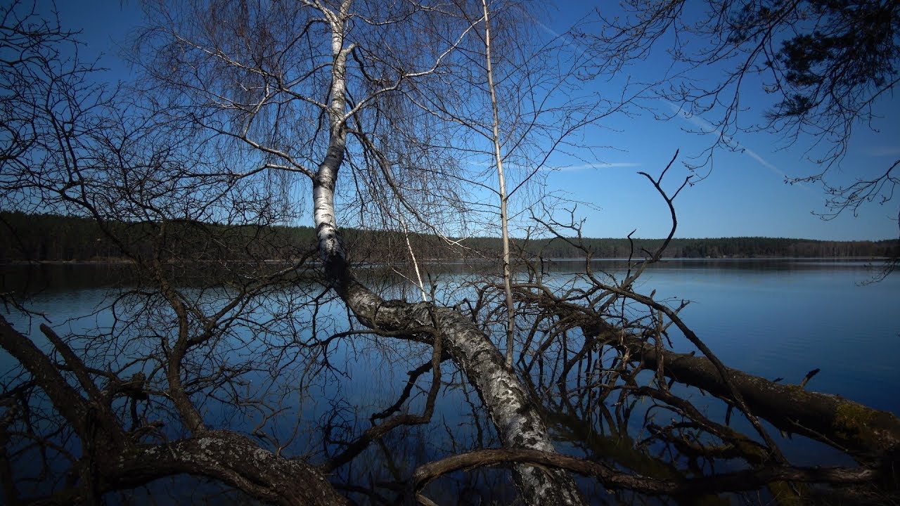 PIĘKNO WIGIERSKIEGO PARKU NARODOWEGO - JEZIORO BIAŁE WIGIERSKIE