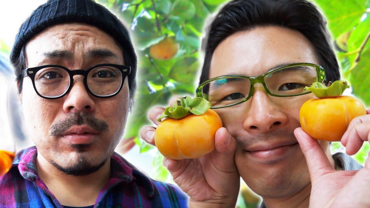 【柿が腐り始めてる】グルメだけが知ってる柿の木レストランの激ウマフルコース|Persimmon restaurant.