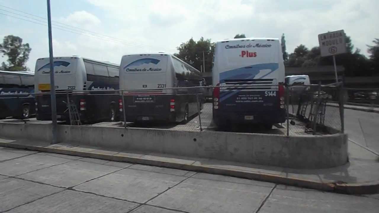 Llegando a la Central Nueva de Guadalajara en Omnibus de México