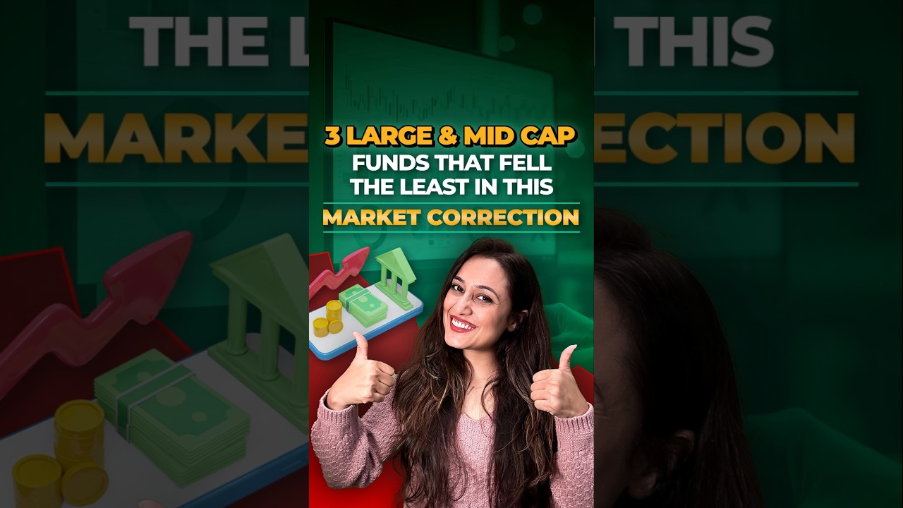 3 Large and Mid Cap Mutual Funds that fell the least in the falling stock market