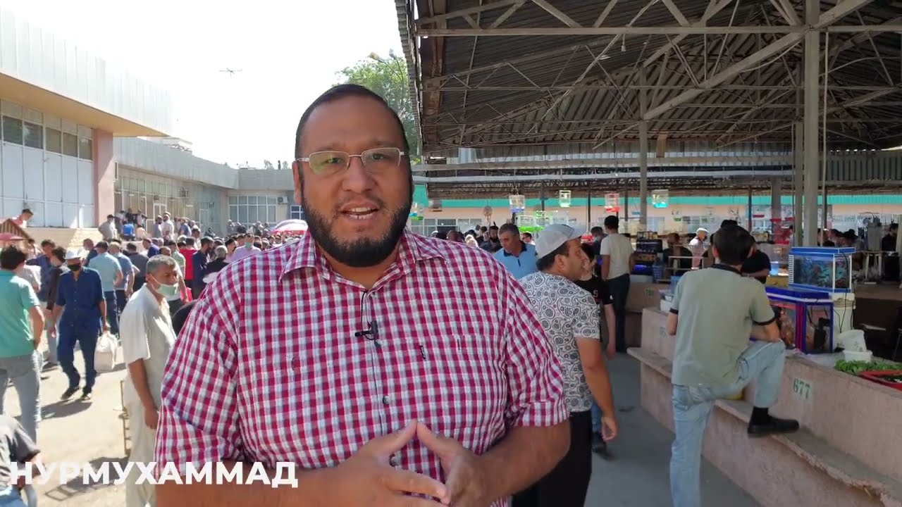 Тошкент қуш бозори: 15.05.21птичий рынок Ташкент bird market of Tashkent