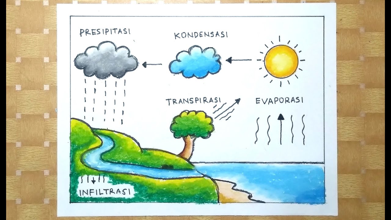 Cara menggambar siklus air yang mudah - How to draw the water cycle easily