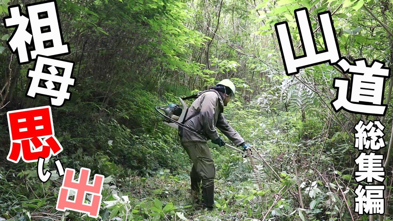 祖母との思い出の山道を草刈りやチェンソーで復活