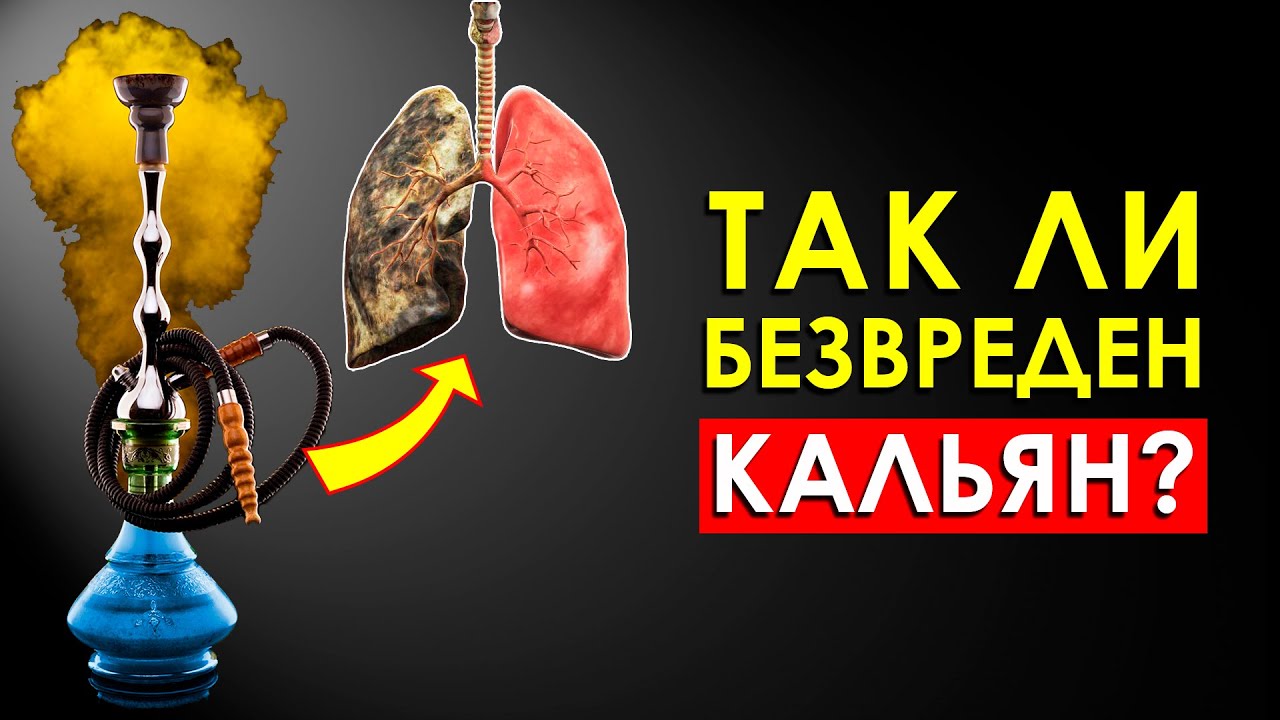 Что Произойдет с Вашим Телом, Если Курить Кальян Каждый День (Шокирует)