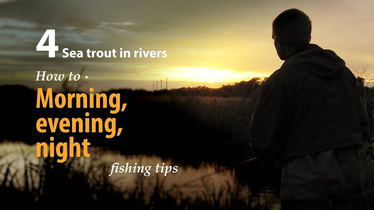 How to • Morning, evening, night • Sea trout in rivers • fishing tips