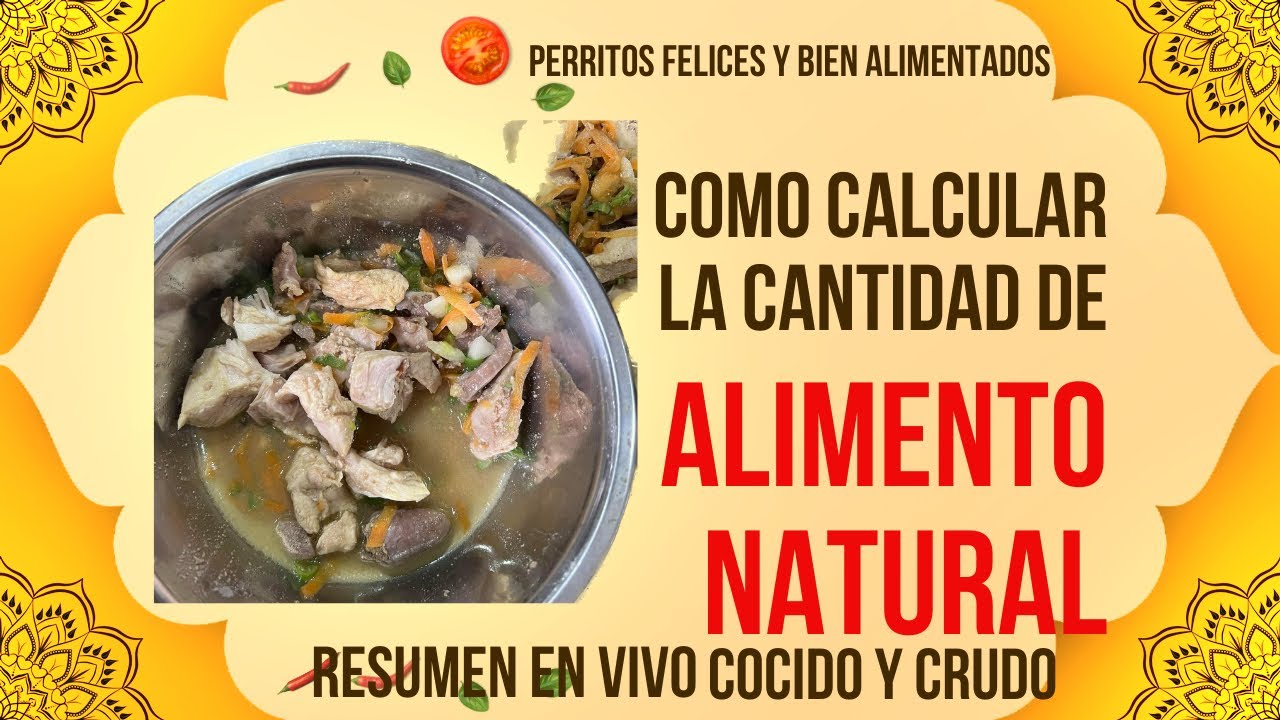 CÓMO CALCULAR EL ALIMENTO NATURAL COCIDO O CRUDO PARA TU PERRO. RESUMEN EN VIVO