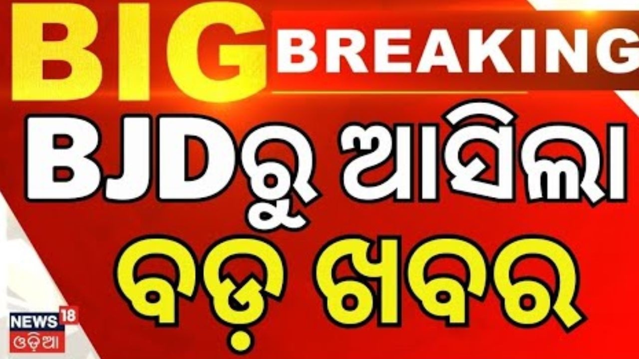 ଭଦ୍ରକରେ ଗର୍ଜିଲା ବିଜେଡି | BJD Protest In Bhadrak | Naveen Patnaik | BJD | Odisha Politics | Odia News