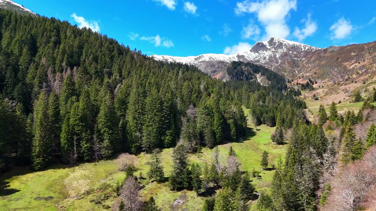 [DRONE] Chapelle et sapinière de l'Isard - 03 MAY 2024 #pyrénées #ariège #hiking #mountains #biros