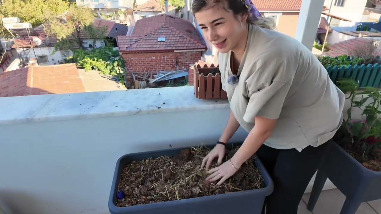 Kışlık Balkon Bahçeciliği yapıyoruz ( 0 dan başlayanlar için )
