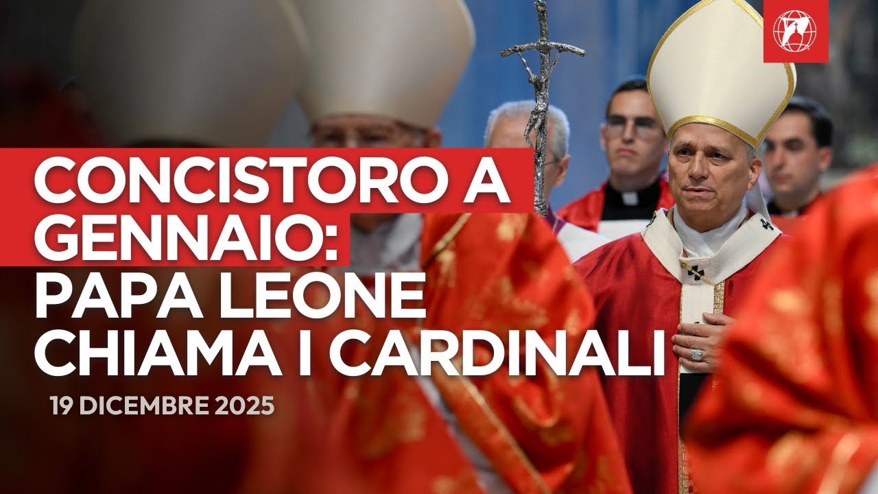 Il presepe pro-vita in Vaticano e il concistoro di Papa Leone XIV