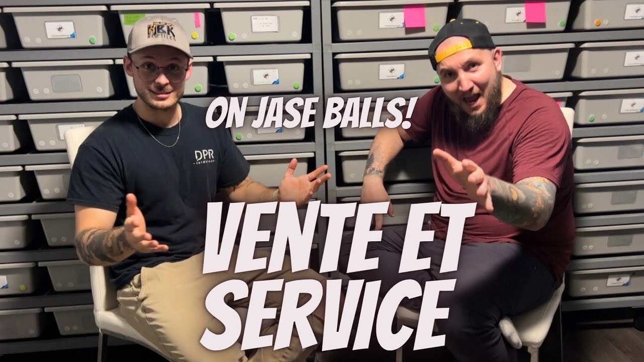 Conversation avec Pythons Of The North, Ventes et Autres Astuces