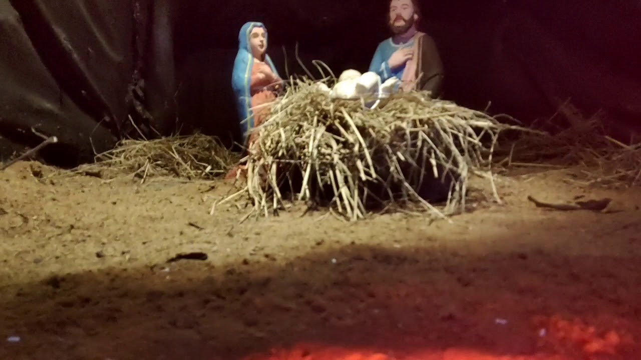 Crib In 2020  K C Y M St. Peter's Church Thriprayar (Thanniyam)