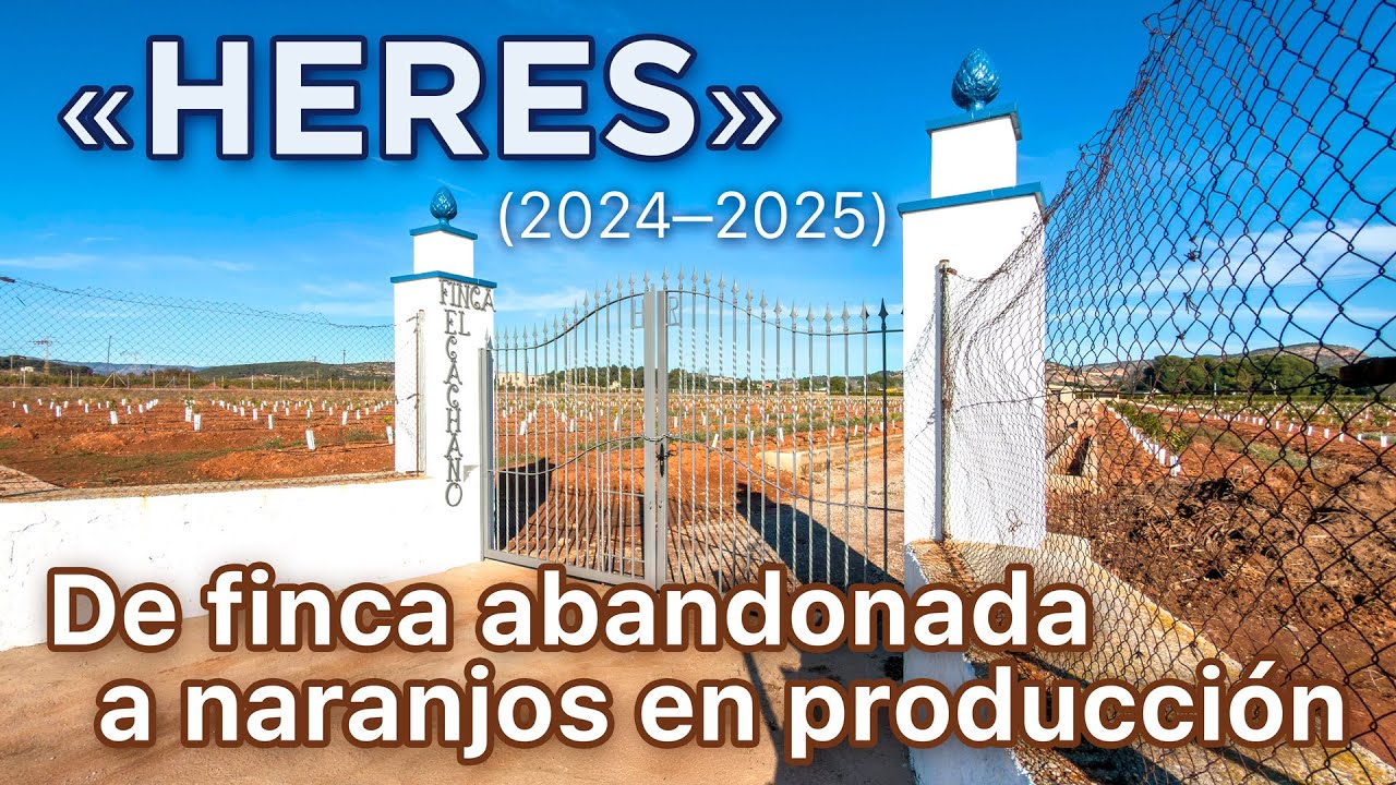Transformación de la Finca Heres 🍊 De un lugar olvidado a un campo lleno de futuro (2024–2025)