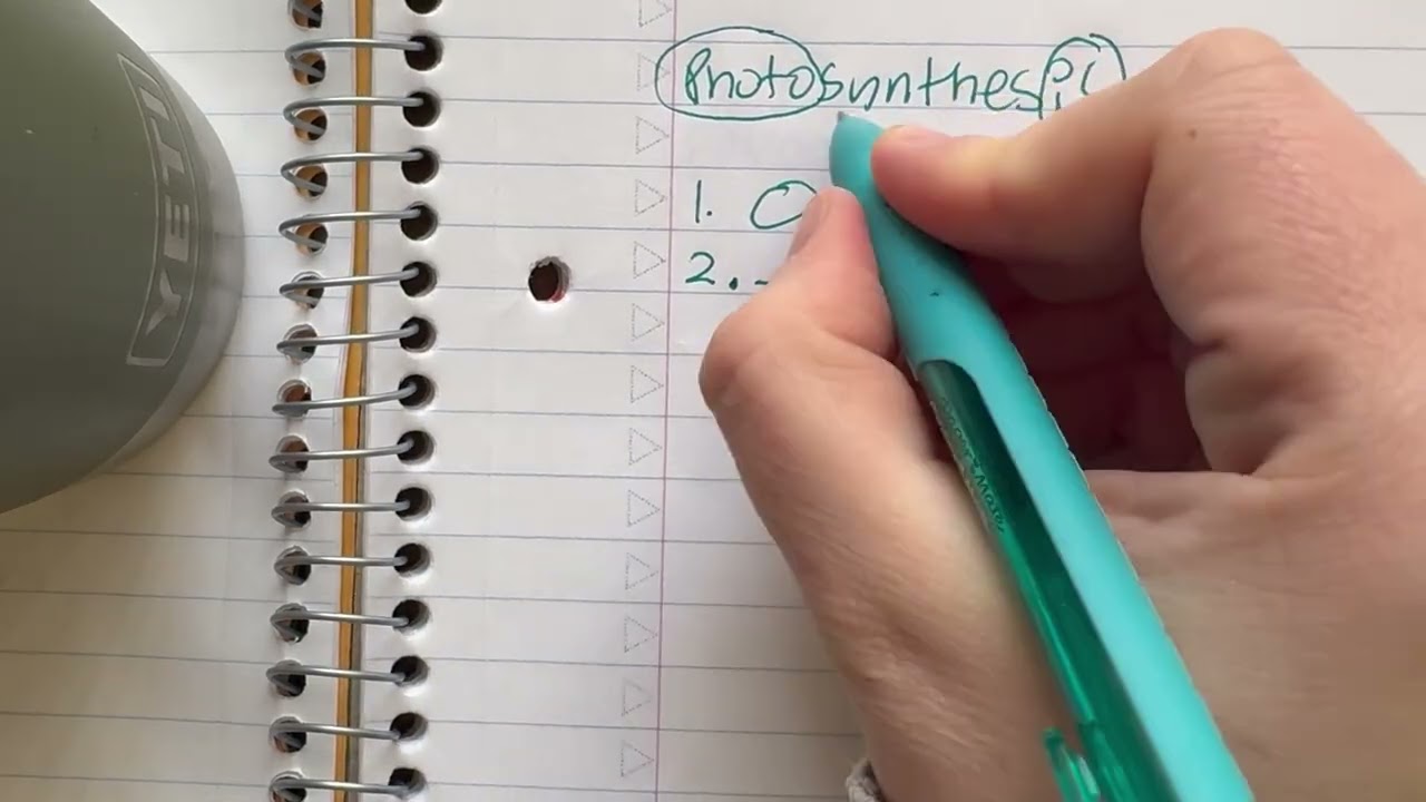 Word Decoding Routine (Photosynthesis)