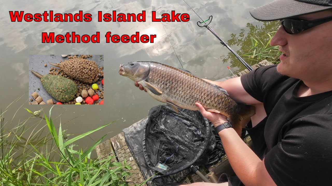 Westlands island lake, method feeder. sept 2023