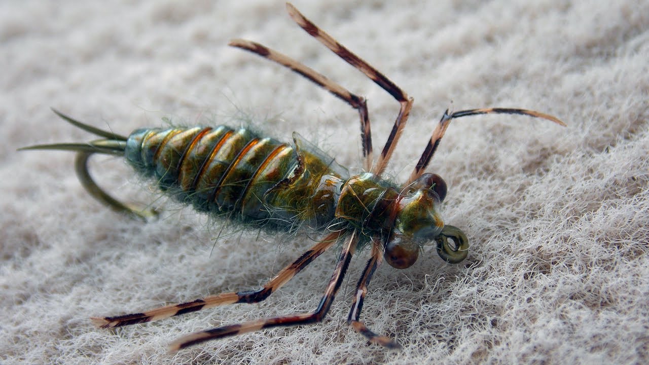 Realistic Dragonfly nymph fly tying lessons by Ruben Martin