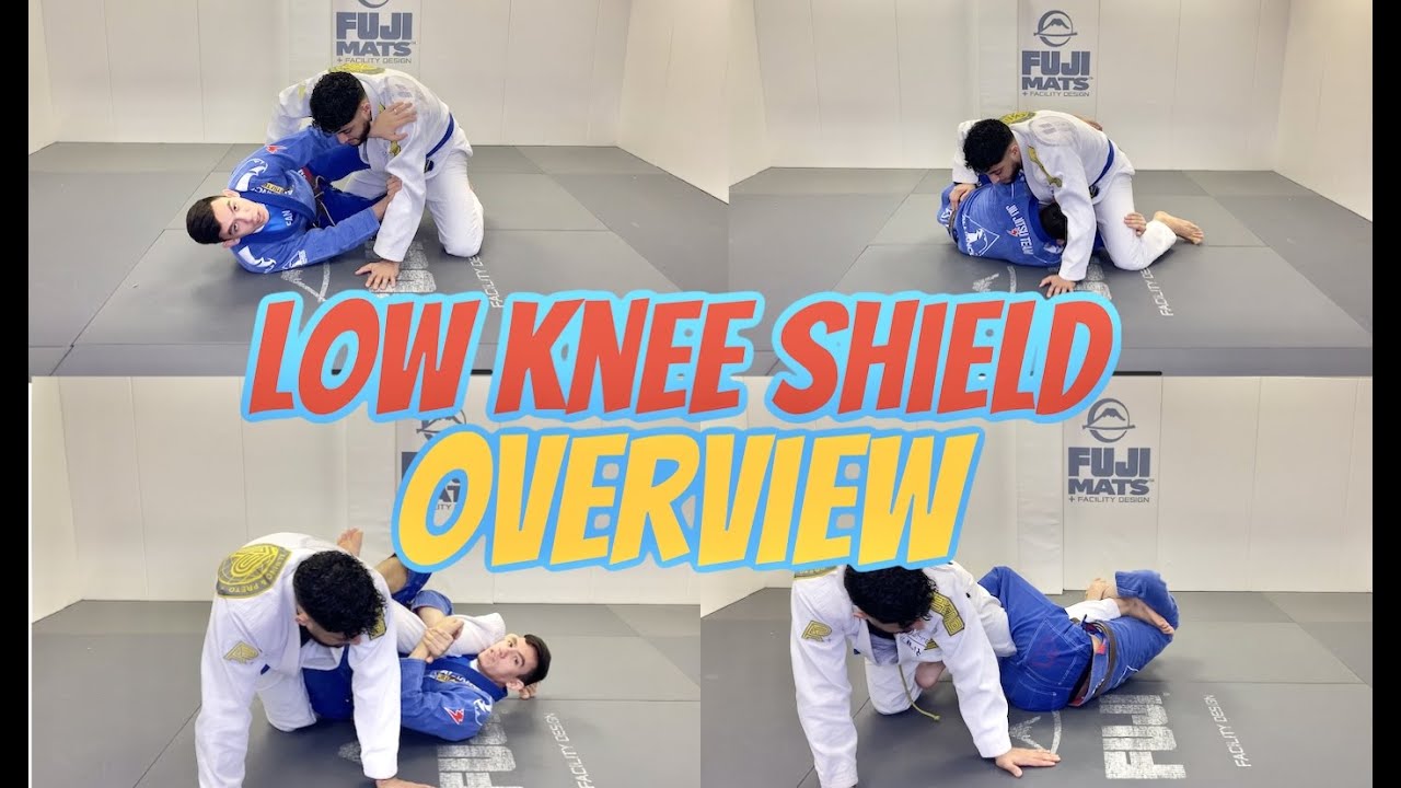 Low Knee Shield Overview